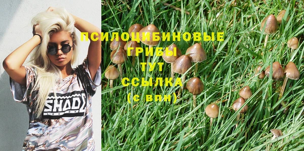 мескалин Надым