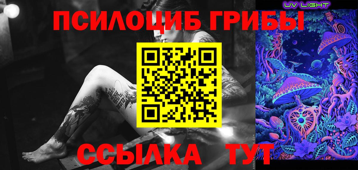 Галлюциногенные грибы Psilocybine cubensis  Вход с VPN  Ишим 