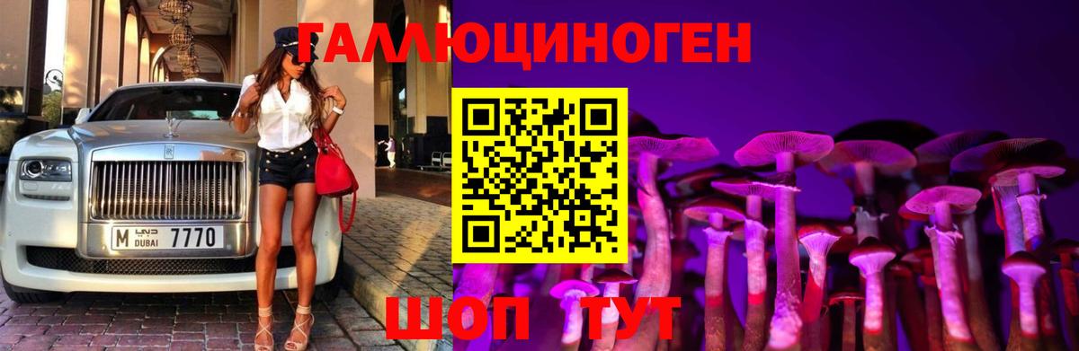 Галлюциногенные грибы мухоморы  Ишим  Псилоцибиновые грибы мухоморы 